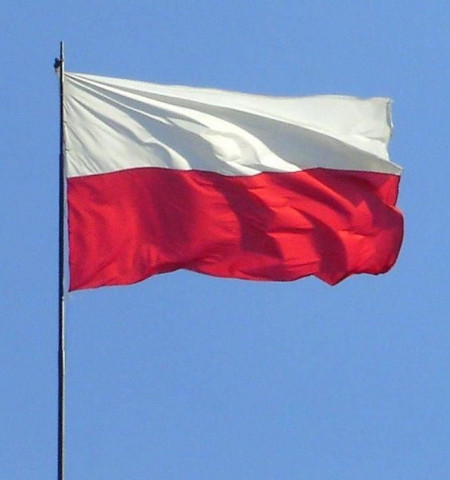 Flag_of_Polan_20220322-124959_1