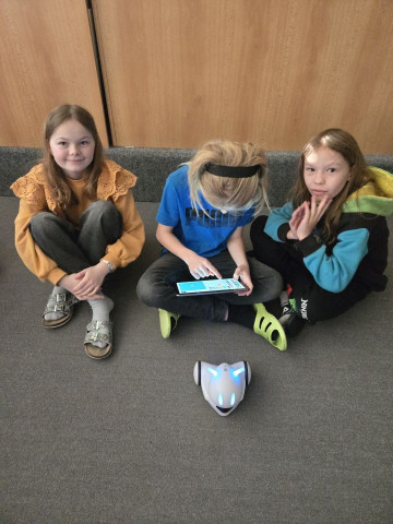 Robotika ve 4.B