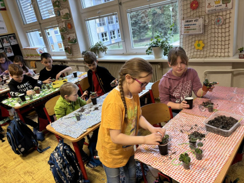 Projekt "Množení rostlin" jsme úspěšně ukončili  3. B