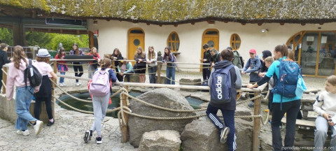 ZOO Jihlava (6. B, 6. C)