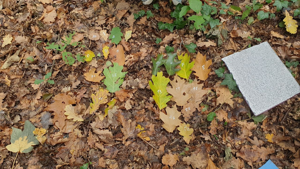 Začátek projektu Kreativní učení