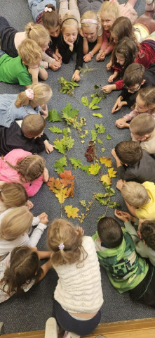 1. A - Svátek stromů - projektový týden