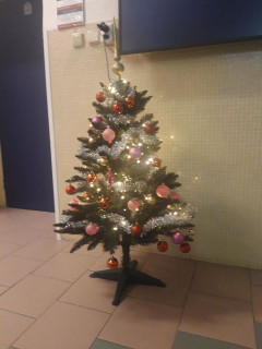 Soutěž na anglickém gymnáziu Pardubice