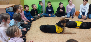 Hudba a zvířata pomáhají