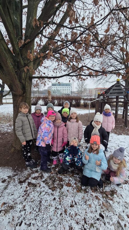 Zimní kamarádi s křídly