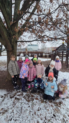 Zimní kamarádi s křídly