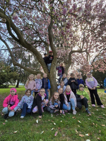 1. A  Krajská knihovna a piknik v parku