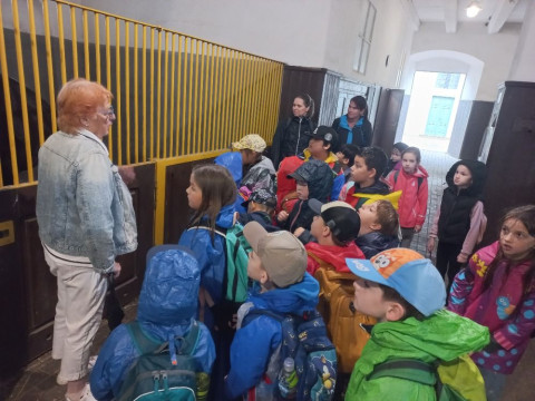 Návštěva hřebčína a zámku - výlet 1. D